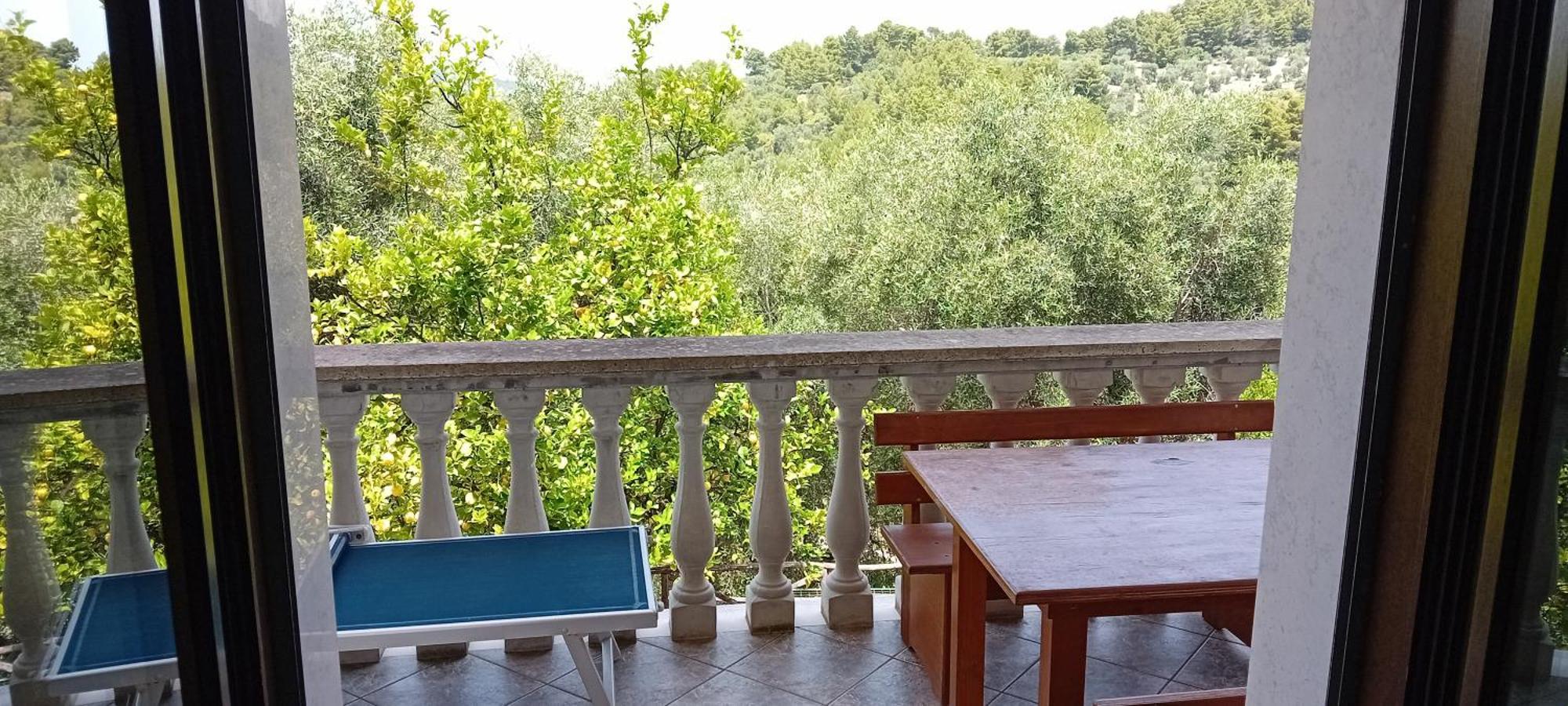 Agriturismo Valle Dei Gelsi Peschici Zimmer foto